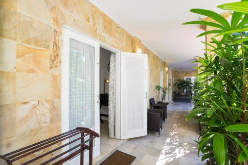 One-Bedroom Apartment image 5