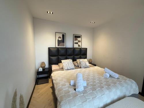 Bright Penthouse with Balcony in Amsterdam Center, Amsterdam
