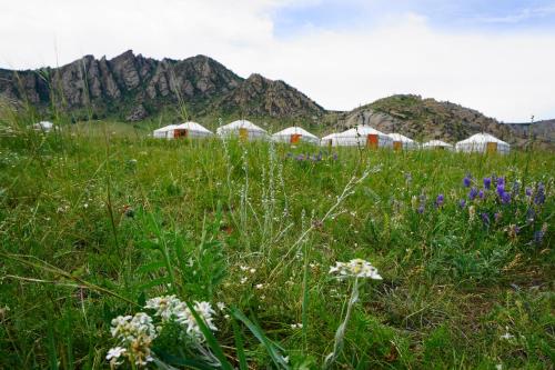 My Mongolia Eco Ger Camp My Mongolia Eco Ger Camp