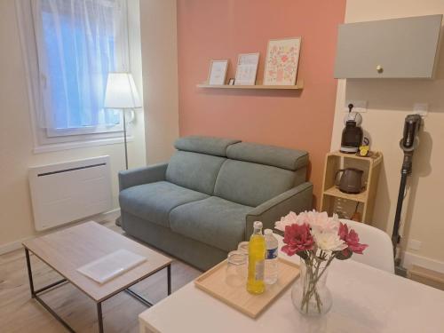 Charmant T2- Besançon hyper centre - Location saisonnière - Besançon