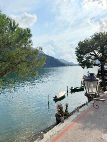 Liane in Morcote, Schweiz