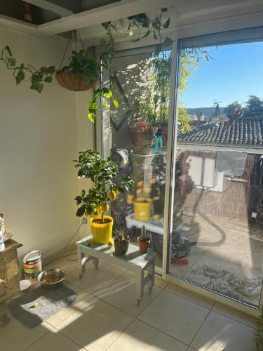 Le coin des amoureux in Ganges