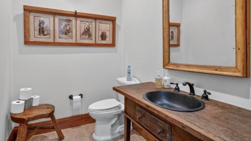 Bearberry Lodge in Edwards, USA