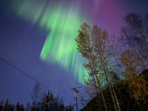 Tiny Home at Bear Mountain -Only 25 Min from Anchorage, Great Central location-Cute & Comfortable, Anchorage (foto 4)