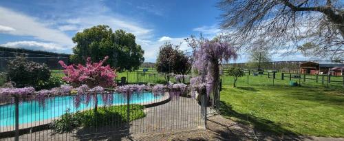 Dewdrop Cottage, Hastings (fotografie 3)