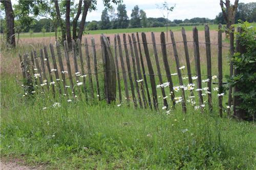 View, B&B 't Bievink - buitengewoon overnachten in Westendorp