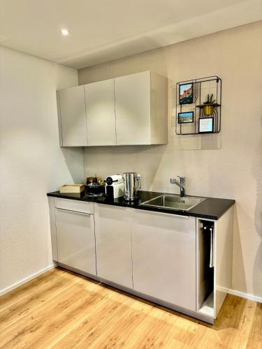 Faciliteiten, Alpenglanz Deluxe Studio in Schaan