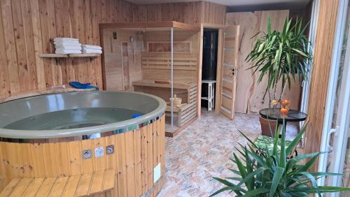 Karstais baseins, Domek na Skale - Apartament B ze strefą SPA (Domek na Skale - Apartament B ze strefa SPA) in Gora Swietej Anny