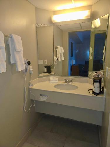La Quinta Inn by Wyndham Tampa Bay Airport - image 2