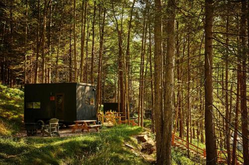 Postcard Cabins Eastern Catskills, Outdoor Collection by Marriott Bonvoy