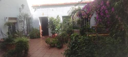 SMALL ROOM TO SLEEP 2 PEOPLE IN SHARED APARTMENT. TYPICAL AND QUIET DISTRICT, Cordoue (photo 10)