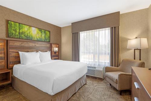 Best Western Plus Valemount Inn & Suites