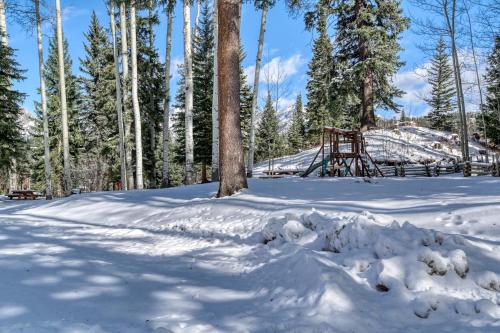 Silverpick #306 - image 6