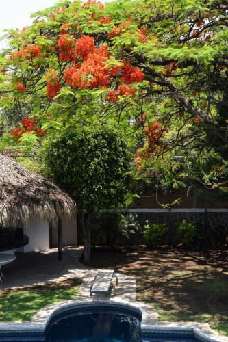 Luna Azul in Delicias