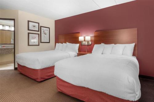 2 queen beds