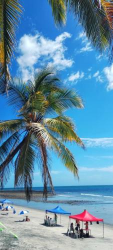 해변, Hotel Palmar Surf Camp & School in 산 카를로스