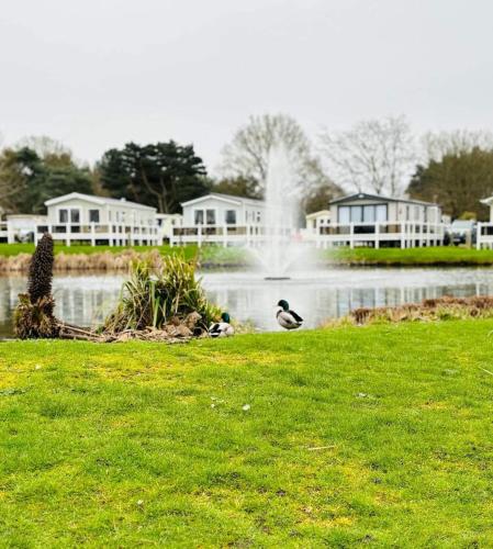 Lovely 3 bedroom caravan haven wild duck hoilday Park in Fritona