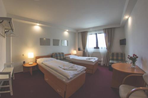 Hotel Wolf - image 12