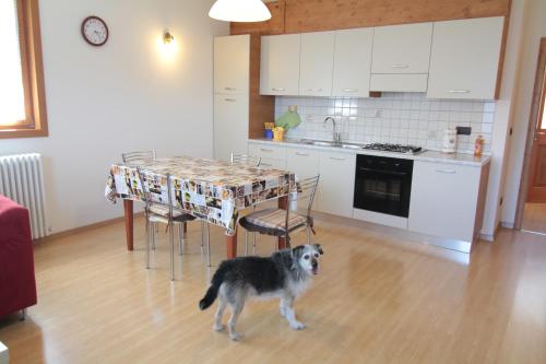 Apartment with Mountain View