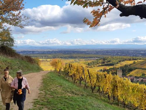 設施, One-bedroom apartment in 卡松德