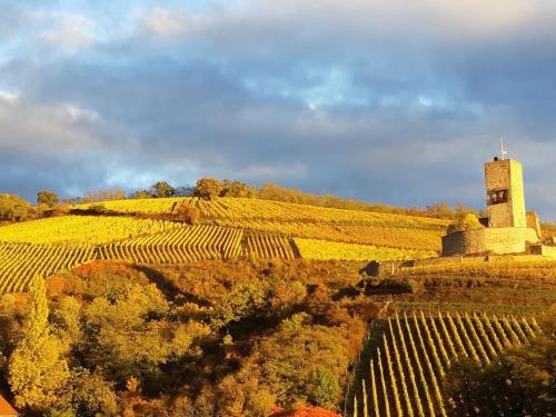 設施, One-bedroom apartment in 卡松德