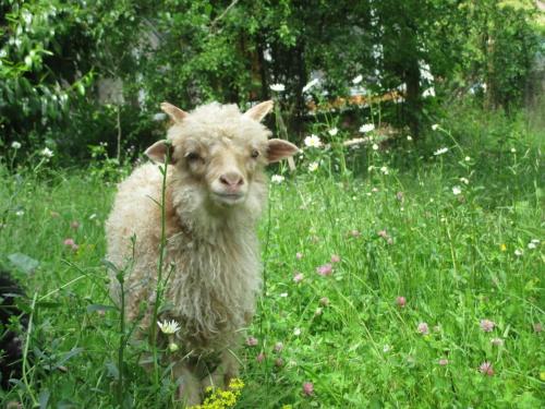 設施, One-bedroom apartment in 卡松德