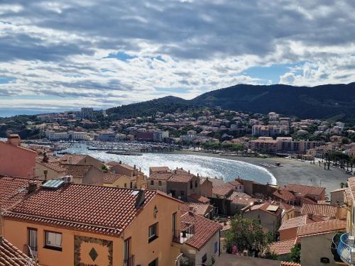 Studio à Banyuls-sur-Mer, terrasse proche plages - FR-1-309-73