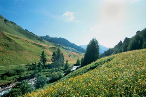 Hotel Garni Chasa Nova - image 11