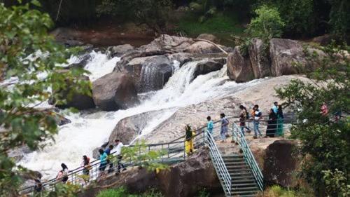 Rustic aura in Rajakkad
