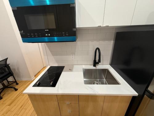 1 bedroom apartment near Montreal downtown with parking near Fruiterie Papaye ET Mangue