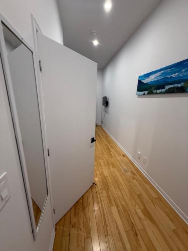 1 bedroom apartment near Montreal downtown with parking near Fruiterie Papaye ET Mangue