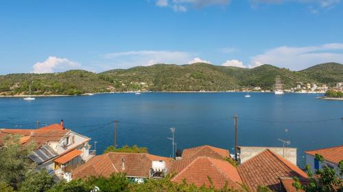 Dioskouri II - image 8