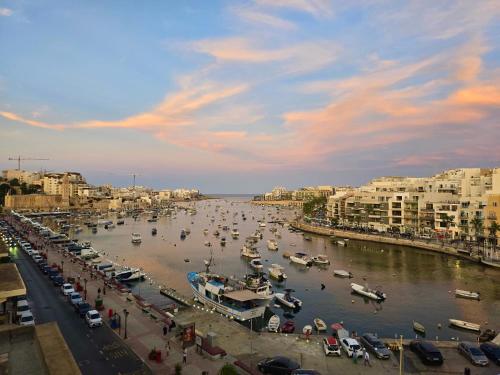 Seaview Escape Summer Nights Guesthouse 4