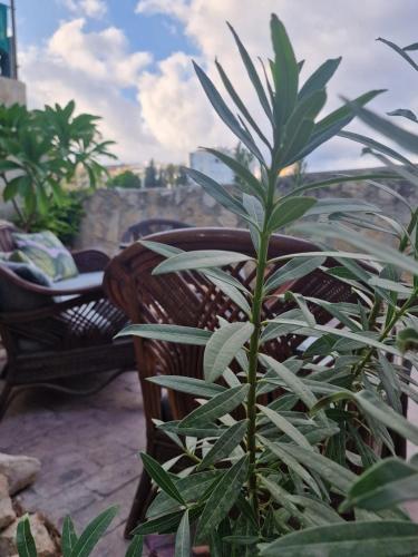 Iekārtas, Kalimera A Lovely 1-bedroom rental with ensuite and Kitchen in Germasogeia