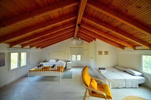 AMMOR Beach houses, Nisida in Driopi (Attiki)