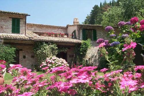 L'Oasi 5