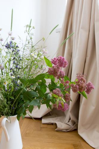 Bed and breakfast Placzek - image 8