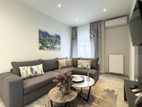 City Bliss Apartments Trikala town - Κάππας