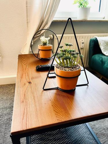 StayTime - Echo Loft, Drážďany (fotografie 4)