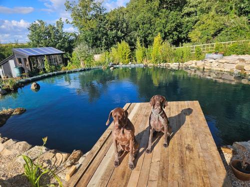 Upper Winstone Pond Lodge in Godshill and Wroxall