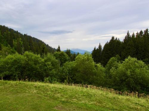 Appartement Chamrousse 1 pièce 4 personnes - FR-1-340-122 - image 10