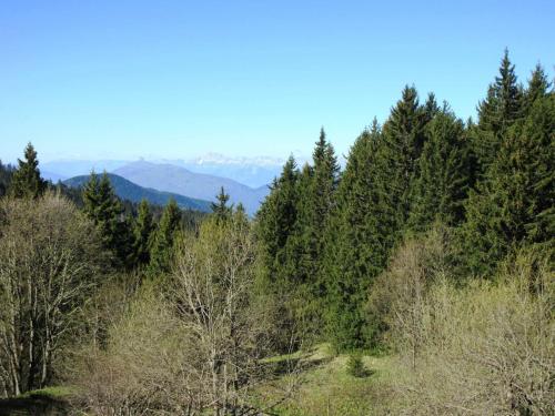 Appartement Chamrousse 1 pièce 4 personnes - FR-1-340-122 - image 12