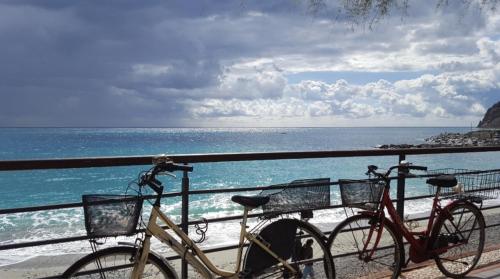 La Terrazza sul Mare Affittacamere