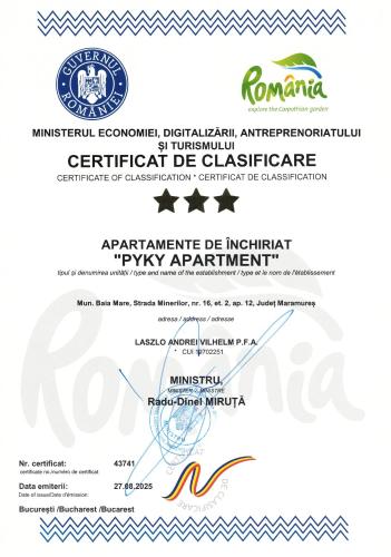 Pyky Apartment, Baia Mare (foto 2)