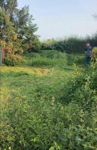 Miejsce na namiot w Błońskim LeoLandzie