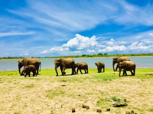 Udawalawe Safari House in Udawalawe