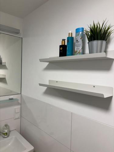 Gästeapartment in Frankfurt am Main, Francoforte sul Meno (foto 8)