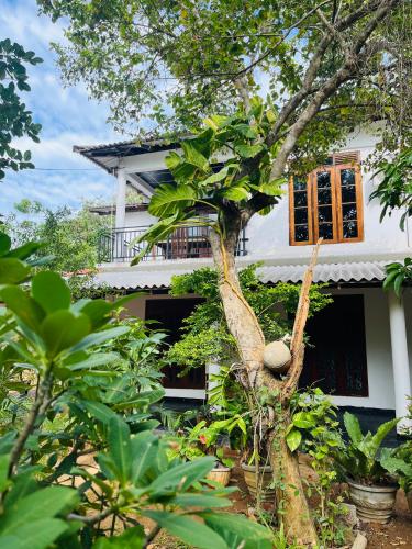 Chamikara Homestay