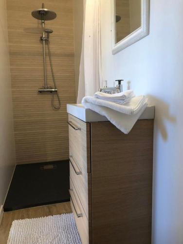 Baño, Chambre des Bois in Luneville