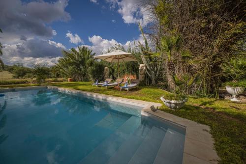 Basen, Ohorongo Safari Lodge in Kamanjab